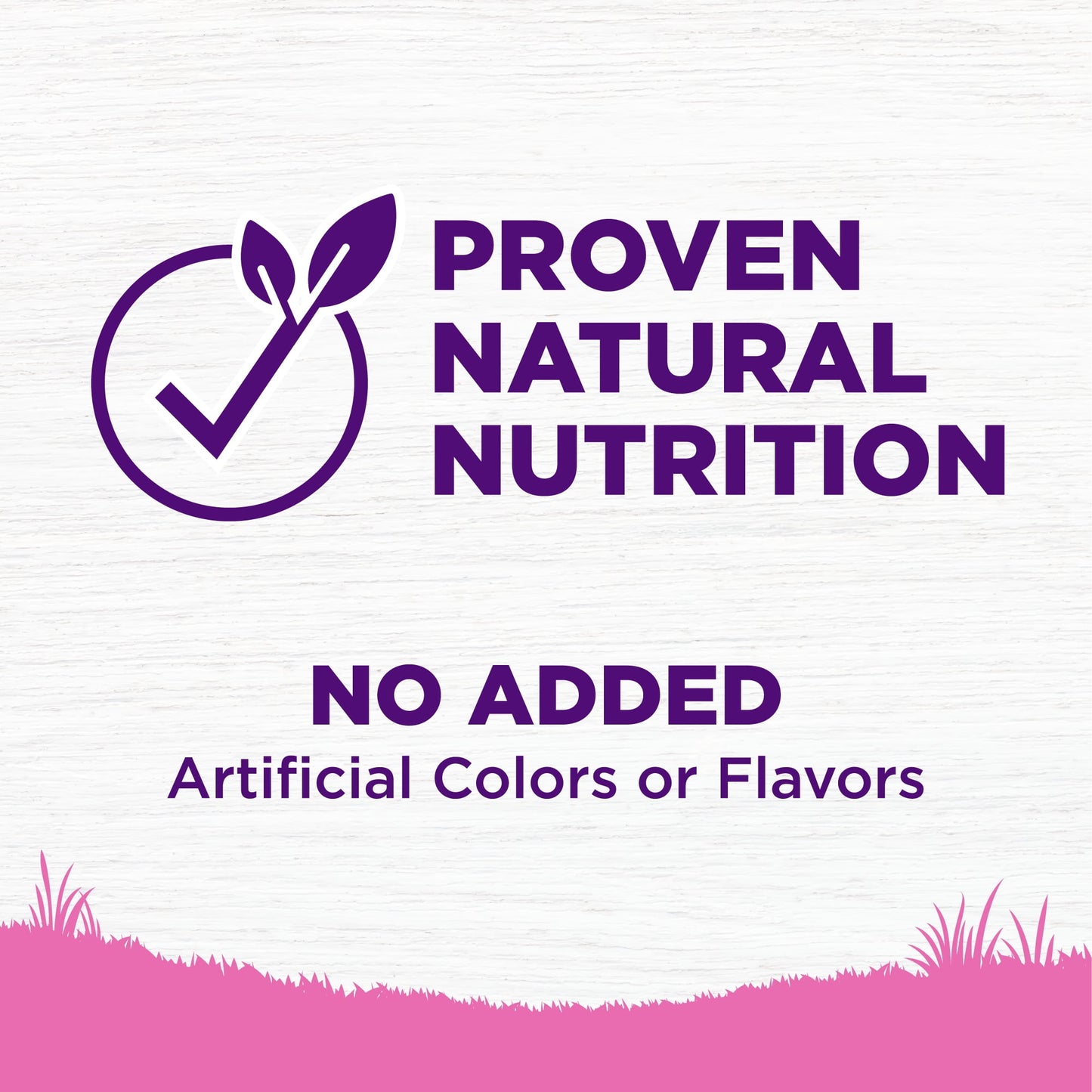 Wellness Complete Health Natural Toy Breed Dry Dog Food, Chicken & Rice, 4-Pound Bag