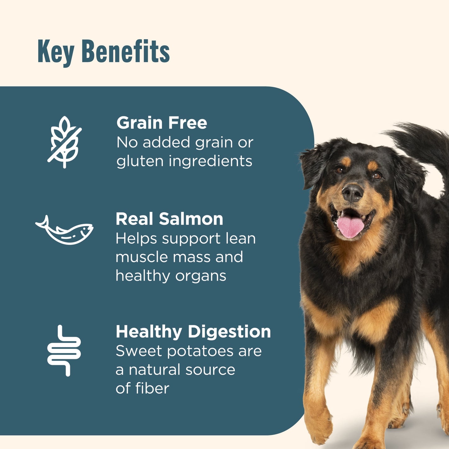 Nutrish Grain Free Salmon & Sweet Potato Recipe Dry Dog Food, 23 lb. Bag (Rachael Ray)