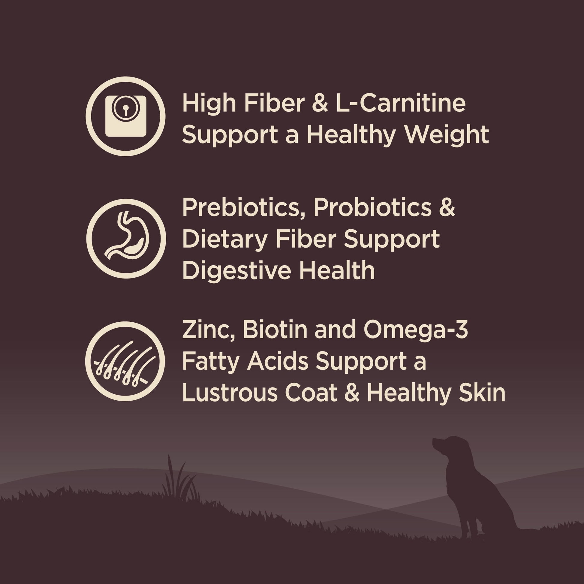 Wellness CORE Dry Dog Food, Grain Free, High Protein, Natural, Healthy Weight Turkey & Chicken Recipe, (26-Pound Bag)