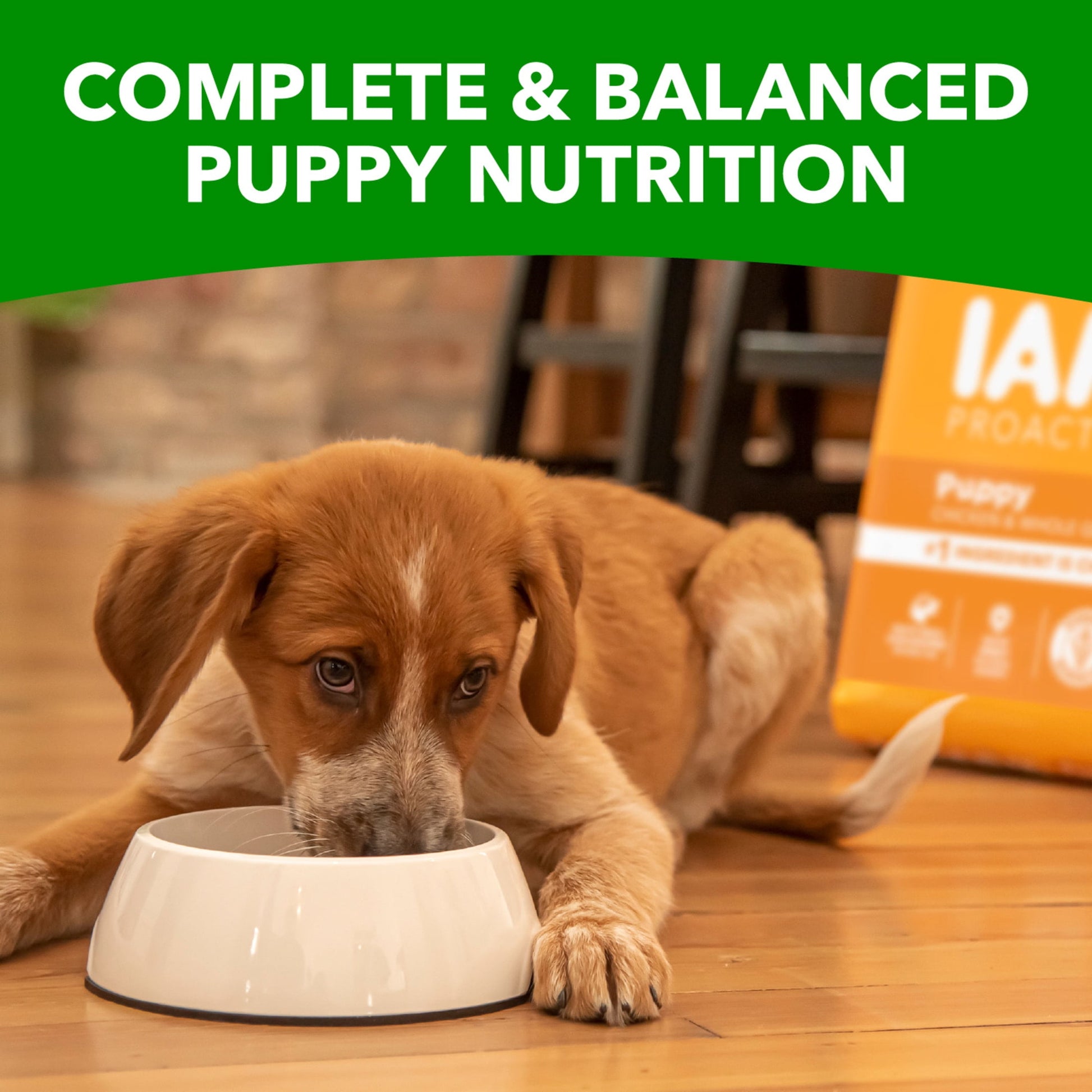 Iams Proactive Health Chicken And Whole Grain Recipe Dry Dog Food For Puppies, 15 Lb Bag