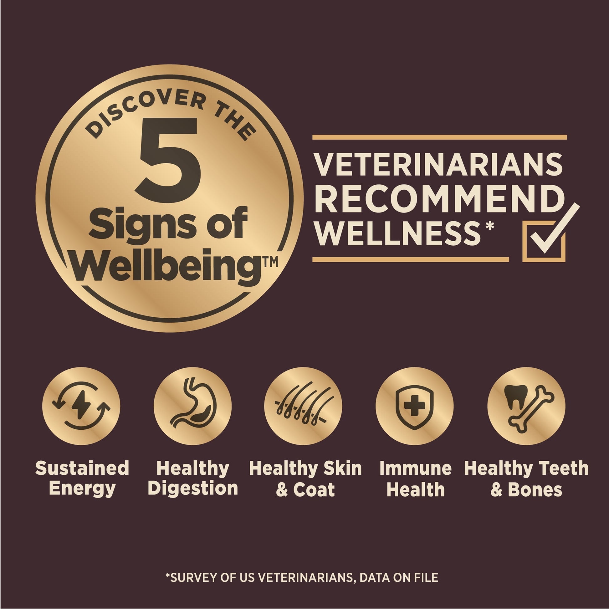 Wellness CORE Digestive Health Dry Dog Food, Small Breed Chicken & Brown Rice Dry Dog Food, 12 Pound Bag