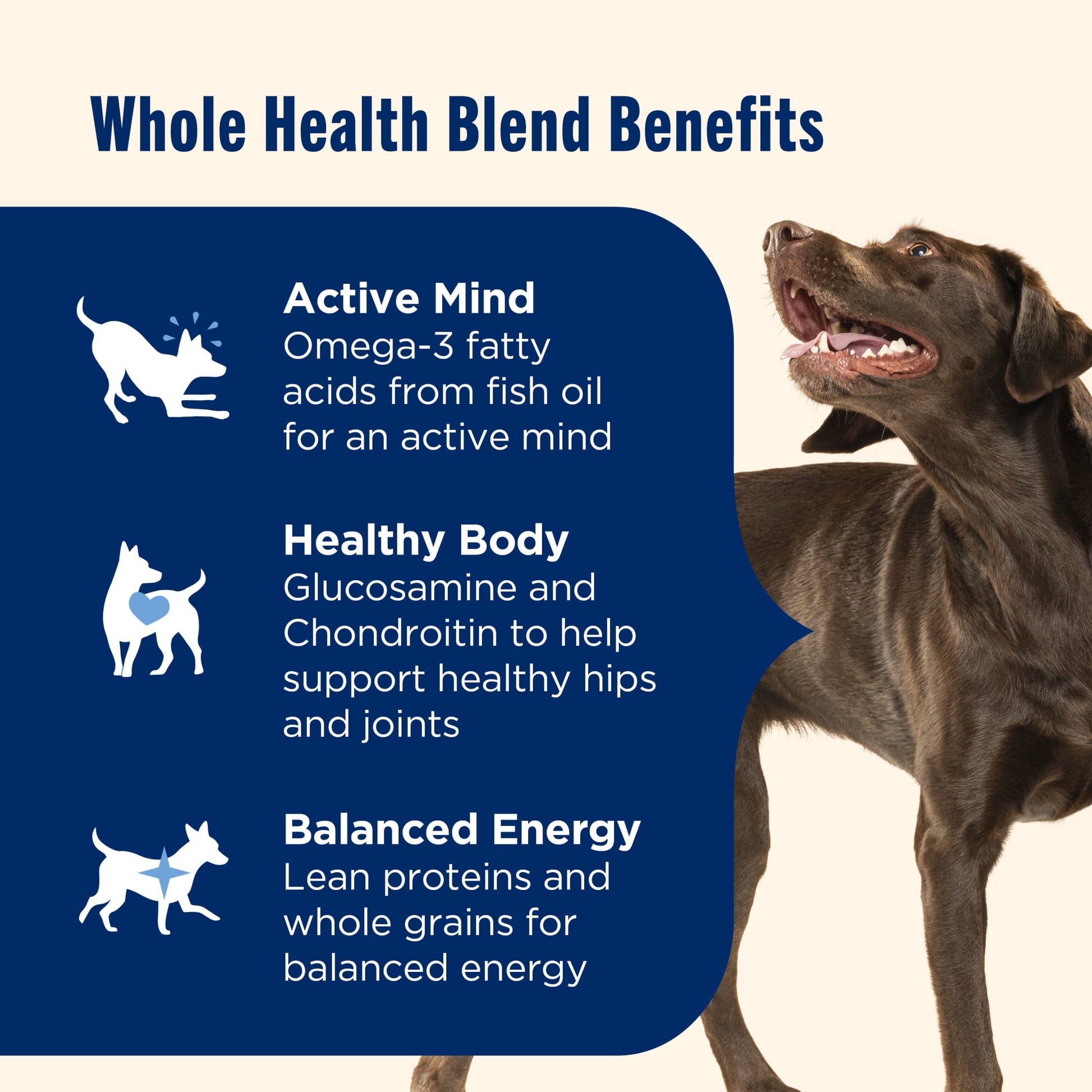 Nutrish Large Breed Real Beef, Pea, Carrot & Brown Rice Recipe Whole Health Blend Dry Dog Food, 40 lb. Bag (Rachael Ray)