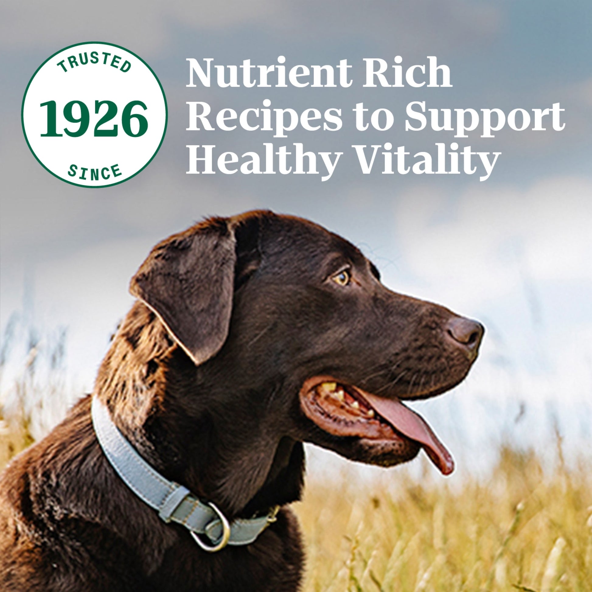 Nutro Natural Choice Adult Dry Dog Food, Chicken And Brown Rice Recipe 5 Lbs.